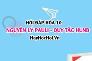 Nội dung Nguyên lý PAULI là gì, Ví dụ, Hóa 10 - Hỏi đáp nhanh